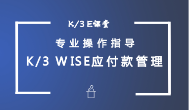 金蝶K/3WISE应付款管理—日常业务处理（三）视频教程
